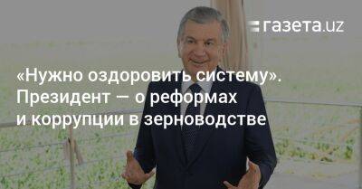 «Нужно оздоровить систему». Президент — о реформах и коррупции в зерноводстве