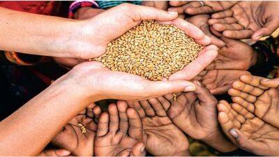 Правительство Индии запретило экспорт пшеницы