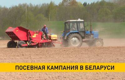 В Беларуси яровой сев проведен на более чем 80% площадей