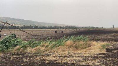 Уничтожены поля и посадки на севере Израиля: ущерб от бури - десятки миллионов шекелей
