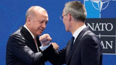А Эрдоган против: зачем Турции блокировать расширение НАТО