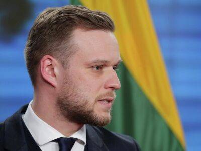 Одна страна держит ЕС в заложниках, блокируя эмбарго на российскую нефть - глава МИД Литвы
