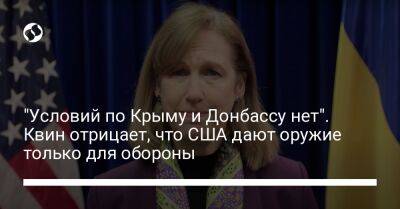 "Условий по Крыму и Донбассу нет". Квин отрицает, что США дают оружие только для обороны