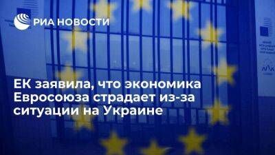 Вице-президент ЕК Домбровскис: экономика Евросоюза страдает из-за ситуации на Украине