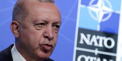 Обозвал «рассадниками» терроризма. Эрдоган заявил, что не поддержит вступление Швеции и Финляндии в НАТО
