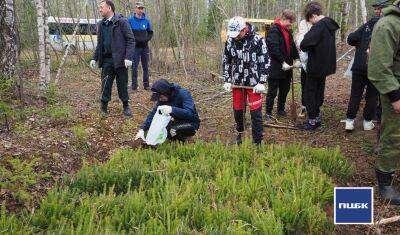 ПЦБК присоединилась к акции «Сад памяти» и высаживает в год 2 млн деревьев в Прикамье
