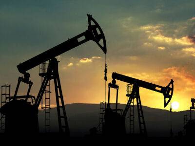 Германия уже сократила потребление российской нефти с 35% до 12% – эксперты - gordonua.com - Россия - Украина - Германия - Венгрия - Ливия - Ляйен - Словакия - Ес