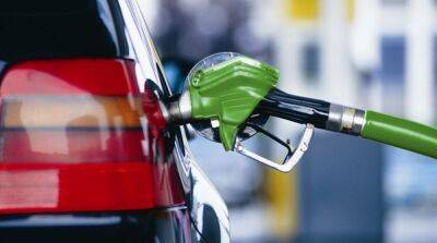 Кабмин решил приостановить госрегулирование цен на топливо