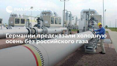FAZ: без российского газа Германию ждет холодная осень и болезненные жертвы