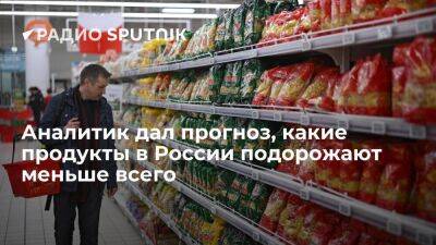 Аналитик дал прогноз, какие продукты в России подорожают меньше всего