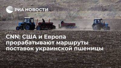 CNN: США и Европа прорабатывают маршруты поставок украинской пшеницы на мировые рынки