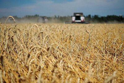 В России появится новый биржевой индекс и фьючерс на пшеницу - smartmoney.one - Москва - Россия - Новороссийск - Новороссийск - Москва