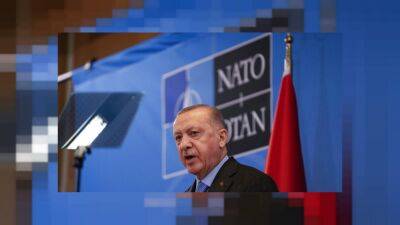 Bloomberg: Турция одобрит вступление в НАТО Швеции и Финляндии, но при условиях