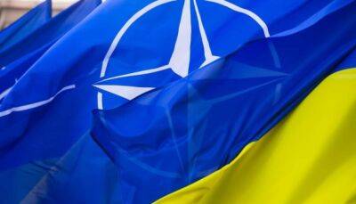 В НАТО без ПДЧ, или Может ли Украина пойти по пути скандинавских государств?