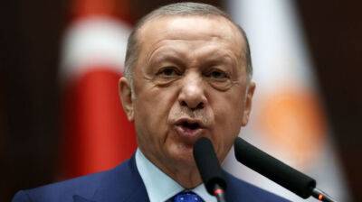 Эрдоган обещает блокировать членство Швеции и Финляндии в НАТО, пока те не выдадут "террористов"