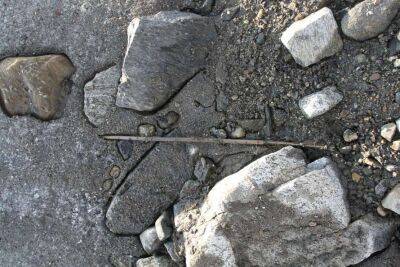 Археологи обнаружили в леднике 1700-летнюю стрелу с первозданным оперением (Фото)
