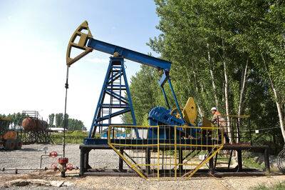 В Ферганской долине SEG вернул к жизни два ликвидированных месторождения нефти - gazeta.uz - Узбекистан