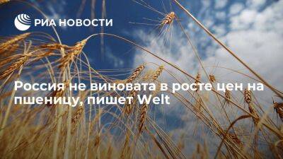 Welt: мировые цены на пшеницу подскочили не из-за действий России