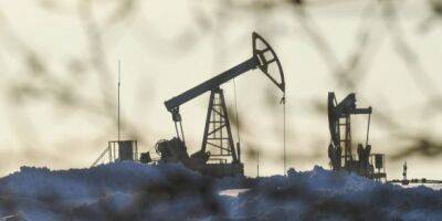 Доходы России от продажи нефти выросли с начала года на 50% — Bloomberg