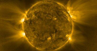 Солнечные ежики и корональный мох. Аппарат ЕКА впервые заснял южный полюс Солнца (фото)
