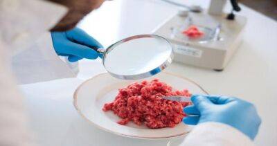 На рынках Ташкента обнаружено почти 7 тонн непригодного к употреблению мяса