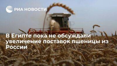 Посол Египта ан-Нагари: республика пока не обсуждала увеличение поставок пшеницы из России