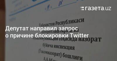 Депутат направил запрос о причине блокировки Twitter