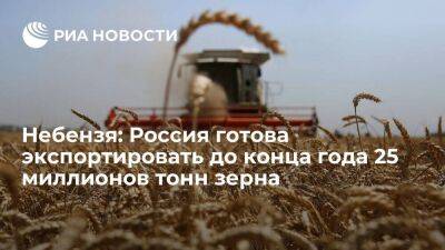 Небензя: Россия готова экспортировать с 1 августа до конца года 25 миллионов тонн зерна