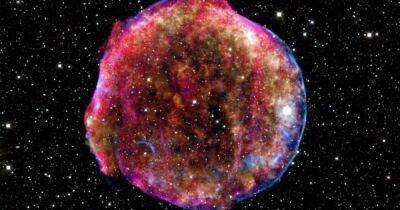 Ученые ждут появление сверхновой: почему это событие может быть опасным для Земли