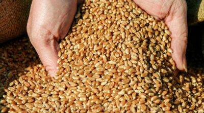 В украинских портах заблокировано почти 4,5 млн тонн зерна – ООН