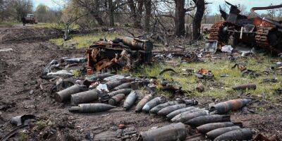 В Сумской области продолжают разминировать территорию. Какое количество боеприпасов оставили после себя оккупанты — фото