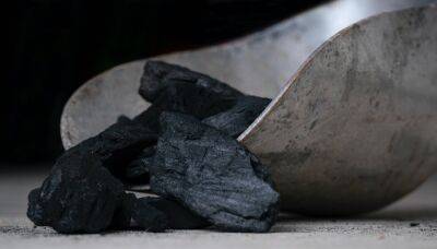 Мировой топ-производитель стали, индийская Tata Steel, откажется от российского угля
