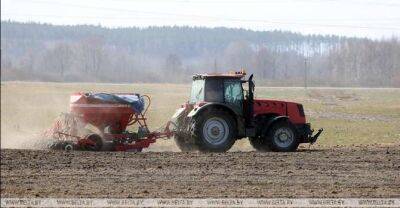 Colza planting in Belarus over 50% complete - udf.by - Belarus - city Minsk