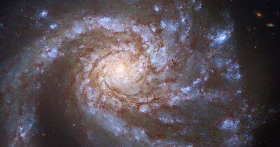 Телескоп Хаббл сделал изображение "очень правильной" галактики: в чем ее особенность