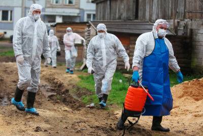 В РФ готовятся к эпидемии холеры в приграничных с Украиной областях, - ГУР
