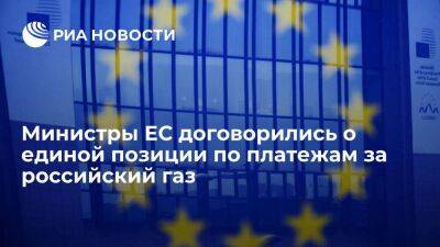 Барбара Помпили: министры ЕС договорились о единой позиции по платежам за российский газ
