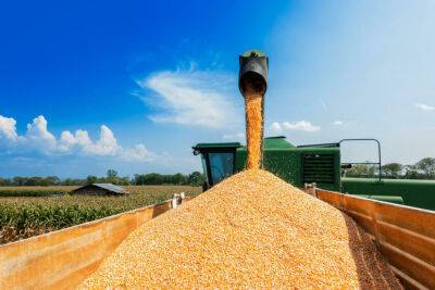 Украинское зерно возможно экспортировать через Беларусь