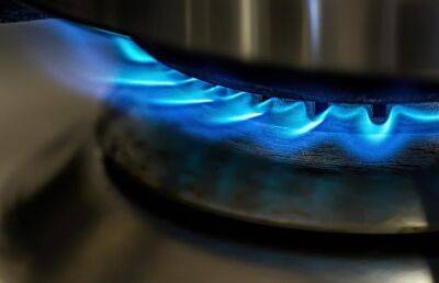 Финская компания GASUM сообщила, когда прекратятся поставки газа из России