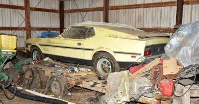 Редчайший коллекционный Ford Mustang 46 лет простоял в заброшенном сарае (видео)