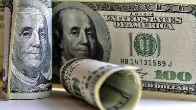 Экономист назвала возможное падение доллара до 48 рублей «дном» курса