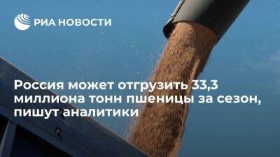 Аналитики "Русагротранса": Россия может отгрузить 33,3 миллиона тонн пшеницы за сезон