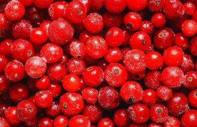 Ученые назвали ягоду, способствующую улучшению работы мозга