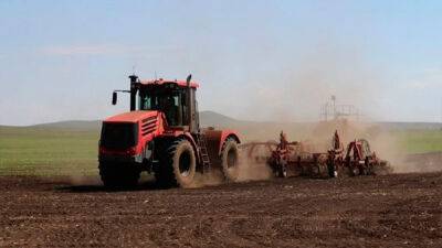 Зерновые в Украине посеяли на 75% площадей прошлого года