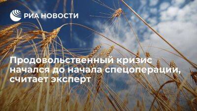 Эксперт Лосев: продовольственный кризис начался до начала спецоперации на Украине
