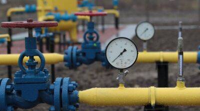 Италия и Германия разрешили своим компаниям платить путину за газ рублями – Reuters