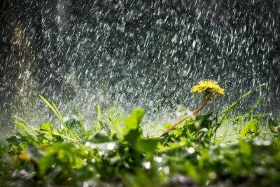 Триває похолодання: практично всю Україну накриють дощі - vchaspik.ua - Украина