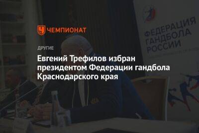 Евгений Трефилов избран президентом Федерации гандбола Краснодарского края