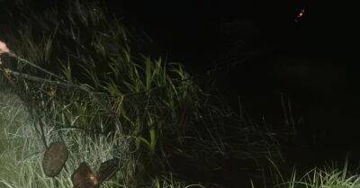 В Бауске задержаны браконьеры, ловившие сетью миногу и вимбу