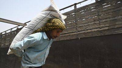 Индийские фермеры и торговцы негодуют: их лишили прибыли из-за запрета экспорта на пшеницу