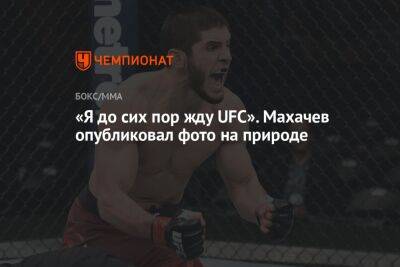 «Я до сих пор жду UFC». Махачев опубликовал фото на природе